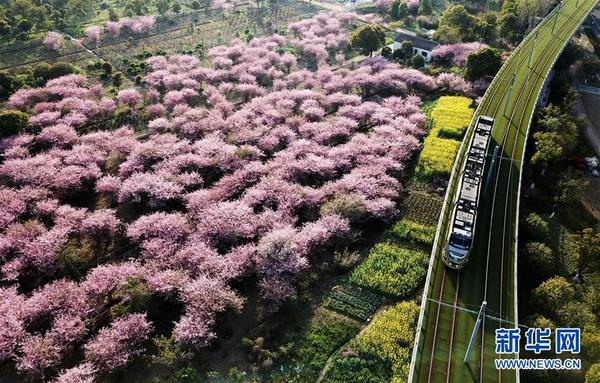 (新华全媒头条·图文互动)(4)伟大旗帜引领历史巨变——习近平新时代中国特色社会主义思想指引“十三五”经济社会发展述评